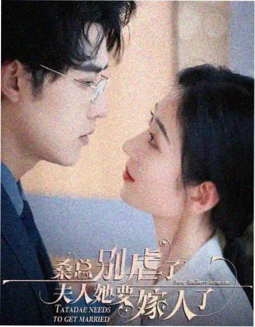 姐姐的账本 剧集封面