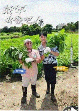 姐姐们的旅行 综艺封面